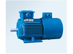 1493873753184582.jpg YPYPG變頻調(diào)速電動機.jpg